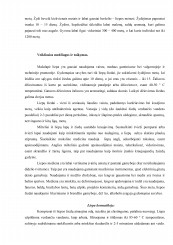 www.speros.lt